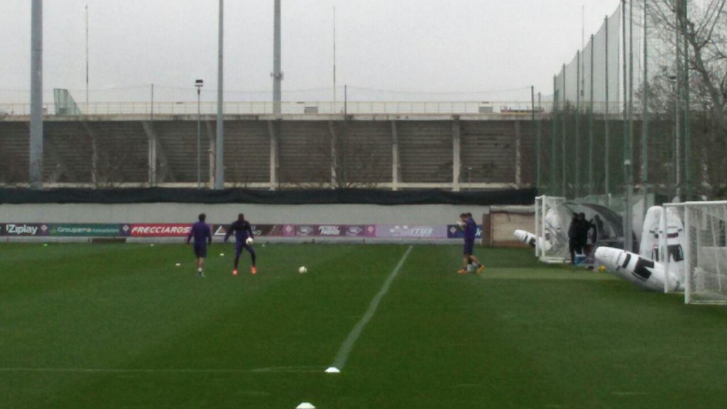 Rifinitura fiore pre tottenham
