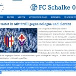 Schalke amichevole
