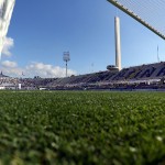 Campo stadio Franchi