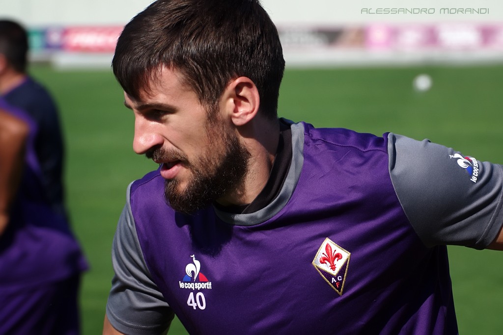 TOMOVIC-IMGP4368_cr_1024