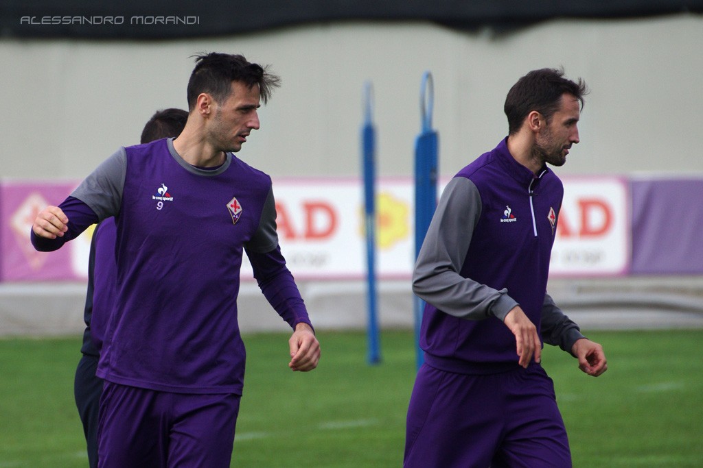 Kalinic-Badelj