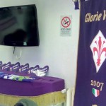Sede Glorie Viola 8