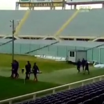 Fiorentina in campo
