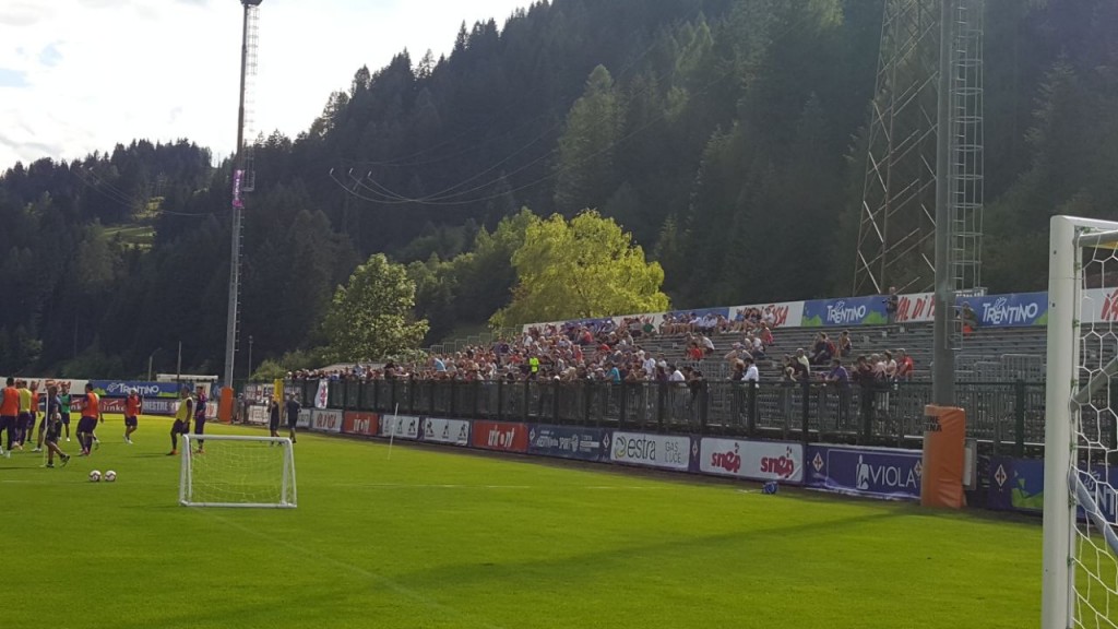 tifosi