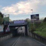 Gignoro