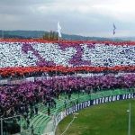 curva-fiesole-12