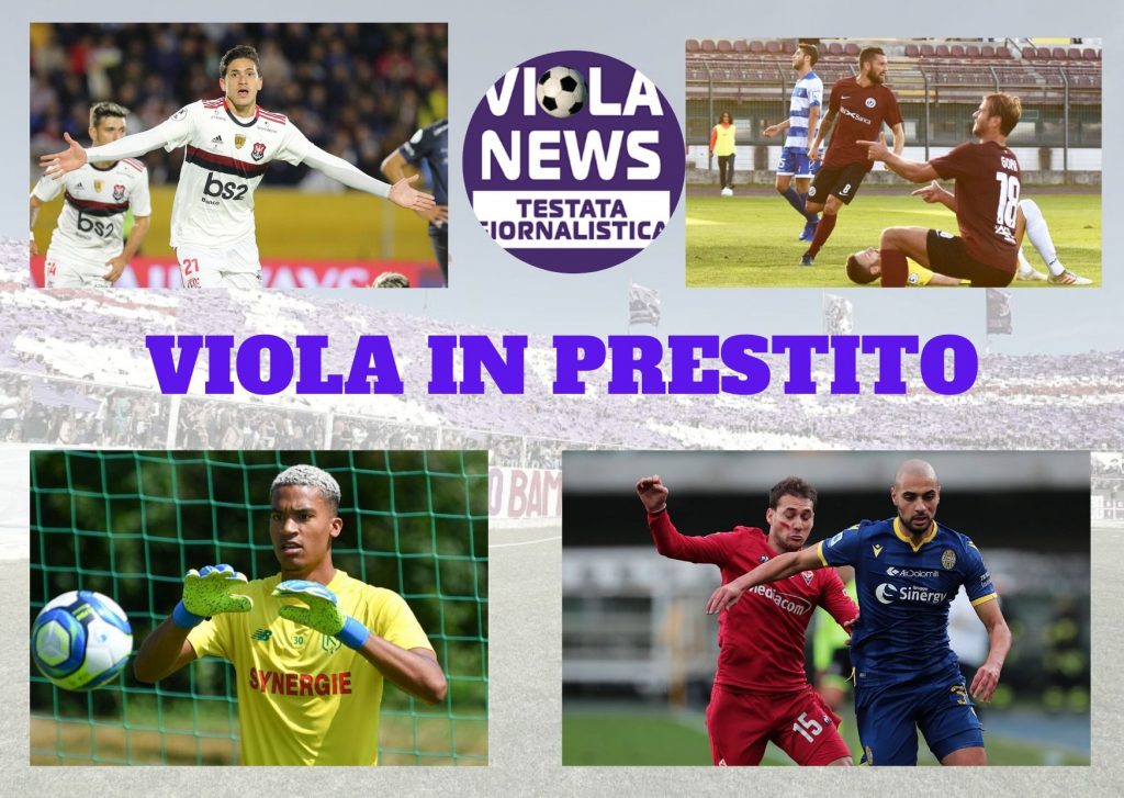 viola-in-prestito