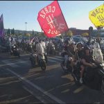 Manifestazione-Stadio