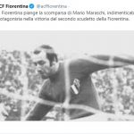 twit-maraschi-acf