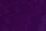 mancity-fiorentina-small