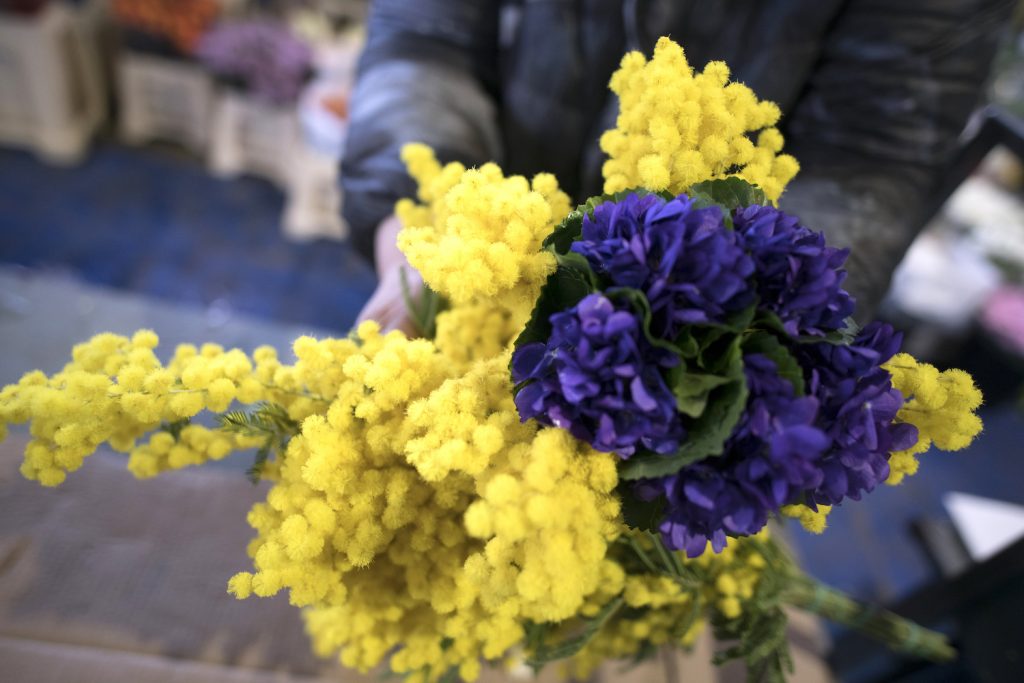 festa-della-donna