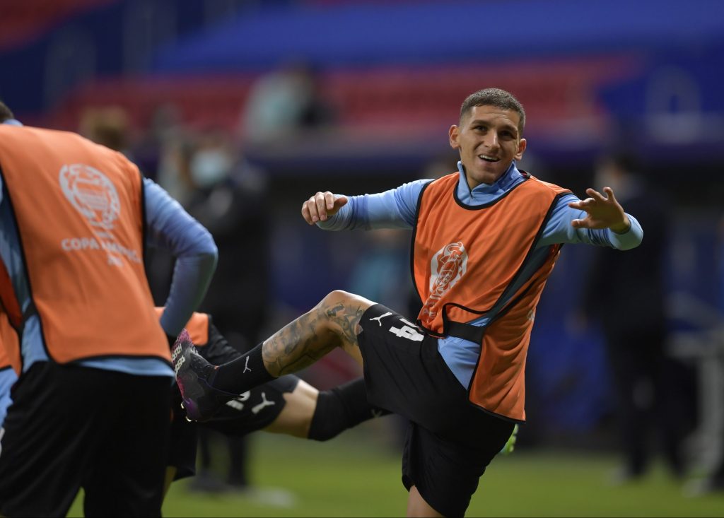Torreira