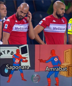 meme sapo amra