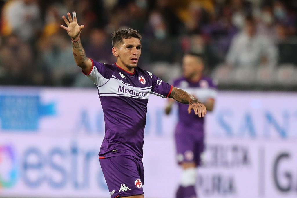 Torreira