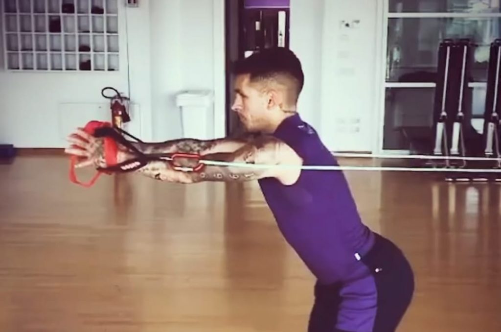 Torreira