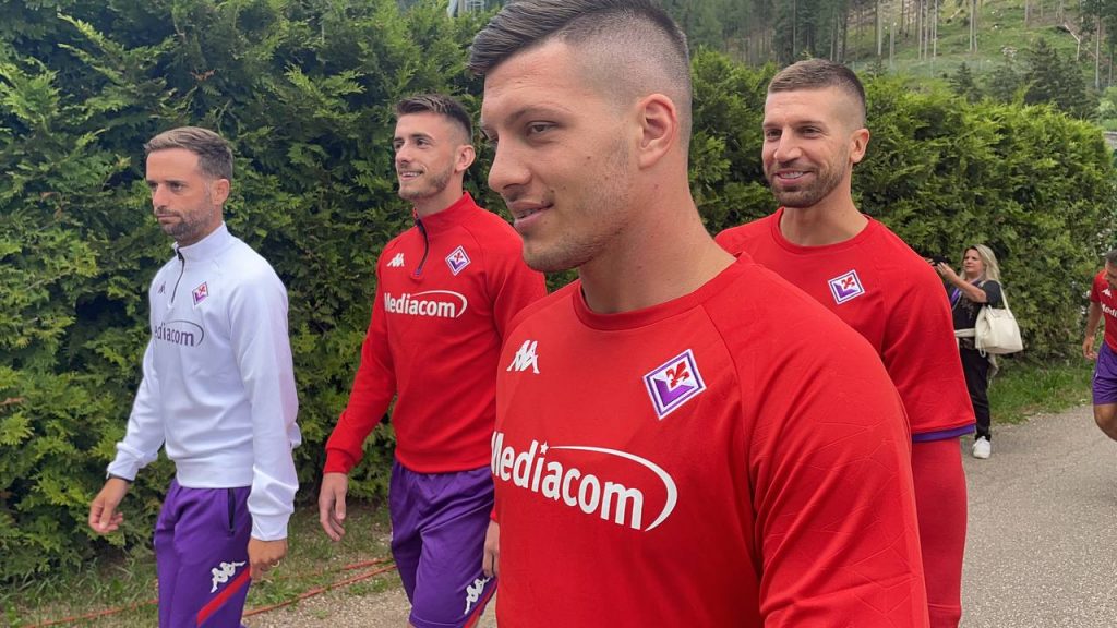 jovic nastasic terzic