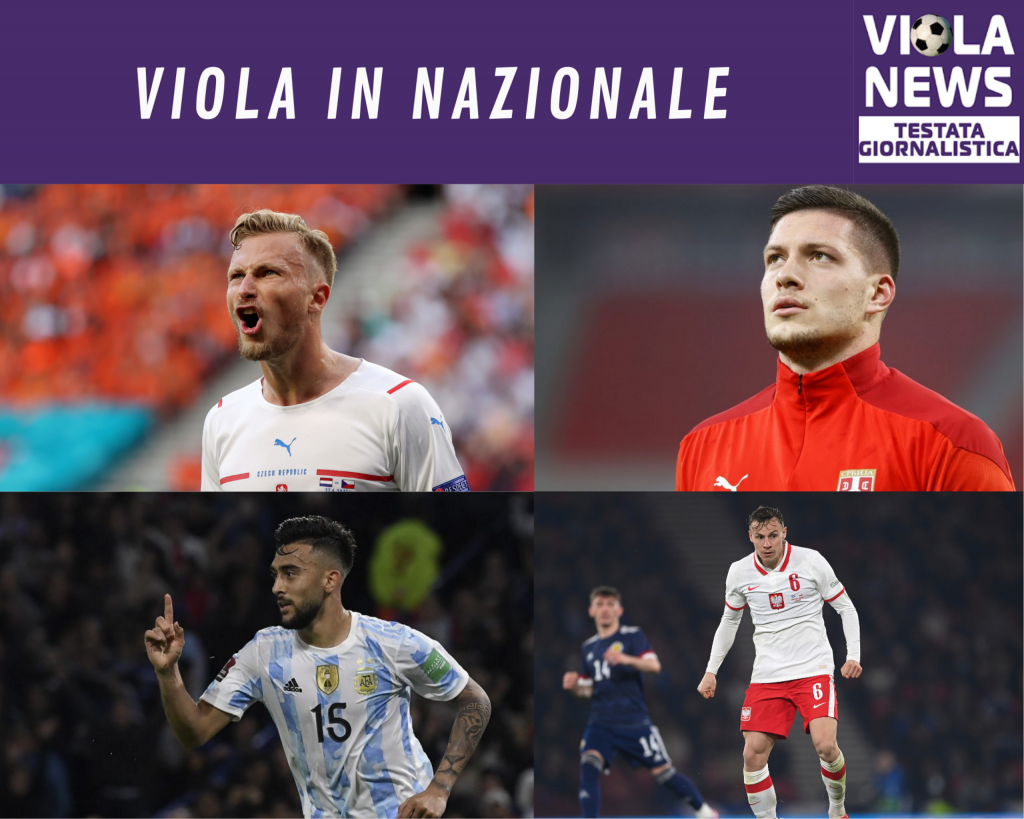 VIOLA IN NAZIONALE
