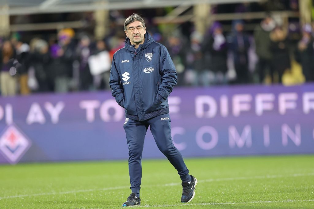 ACF Fiorentina v Torino FC - Serie A