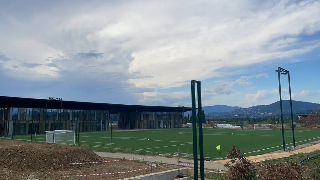viola park campo