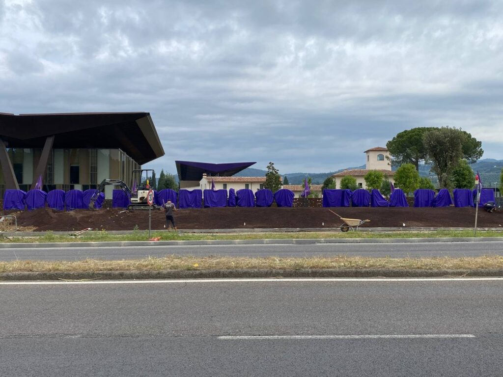 Viola Park scritta Commisso