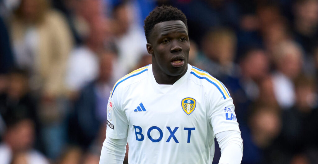 Leeds United v Cardiff City - Sky Bet Championship