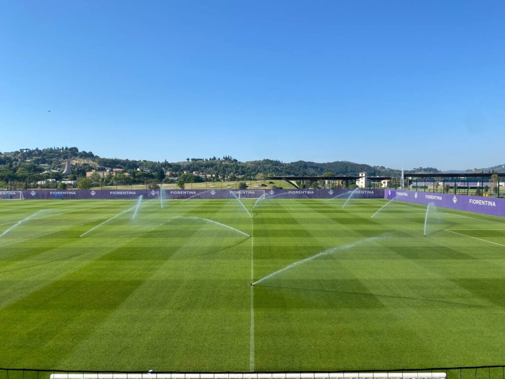 Viola Park