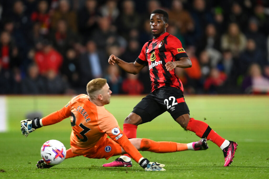AFC Bournemouth v Brighton &amp; Hove Albion - Premier League