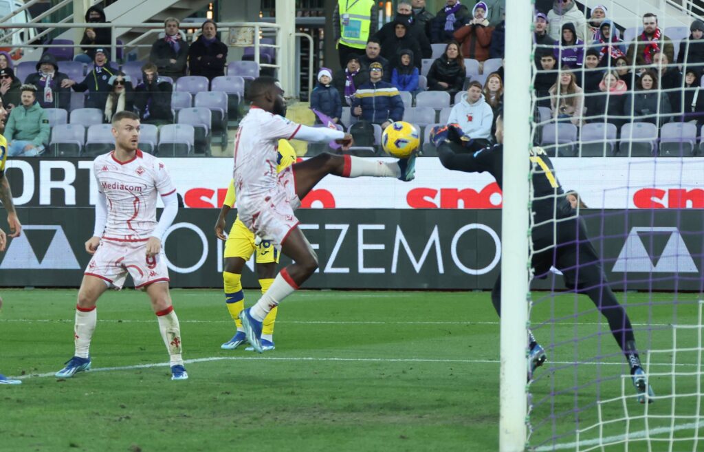 FIORENTINA VS  VERONA