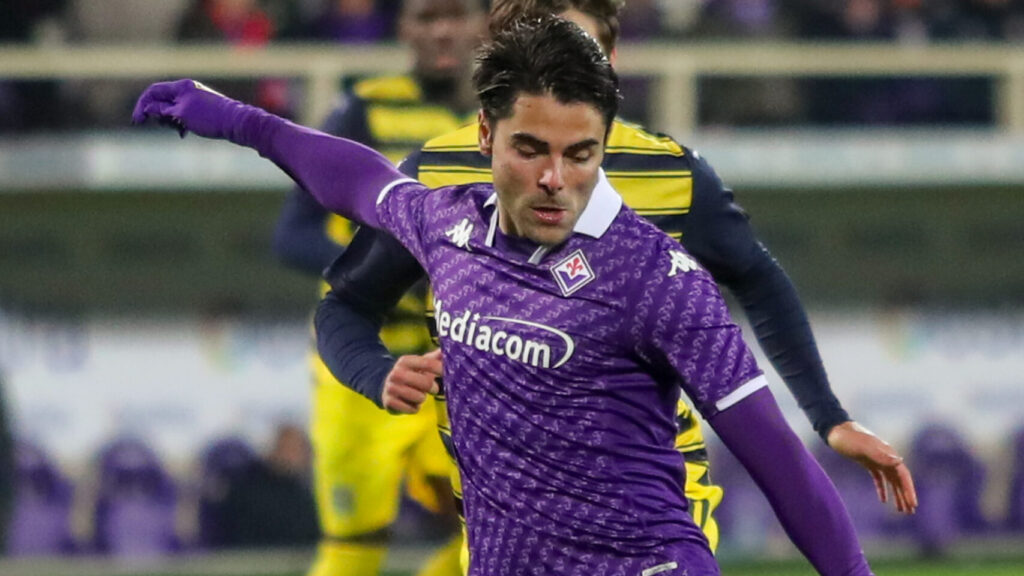 FIRENZE STADIO ARTEMIO FRANCHI COPPA ITALIA FIORENTINA VS PARMA