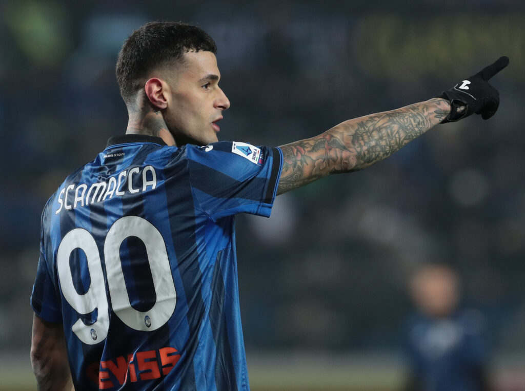 Scamacca