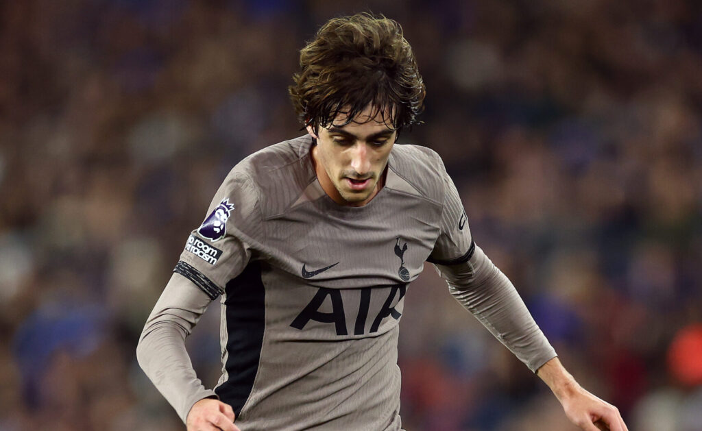 Brighton &amp; Hove Albion v Tottenham Hotspur - Premier League
