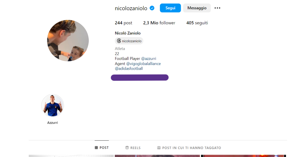 Zaniolo IG (1)
