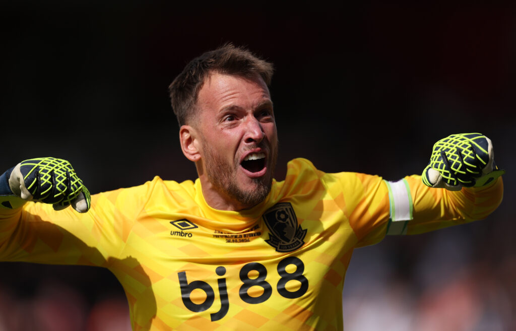 AFC Bournemouth v Newcastle United FC - Premier League