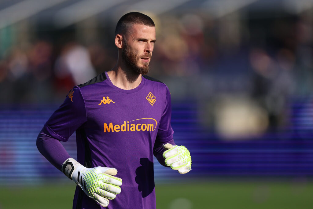 Fiorentina v Verona - Serie A