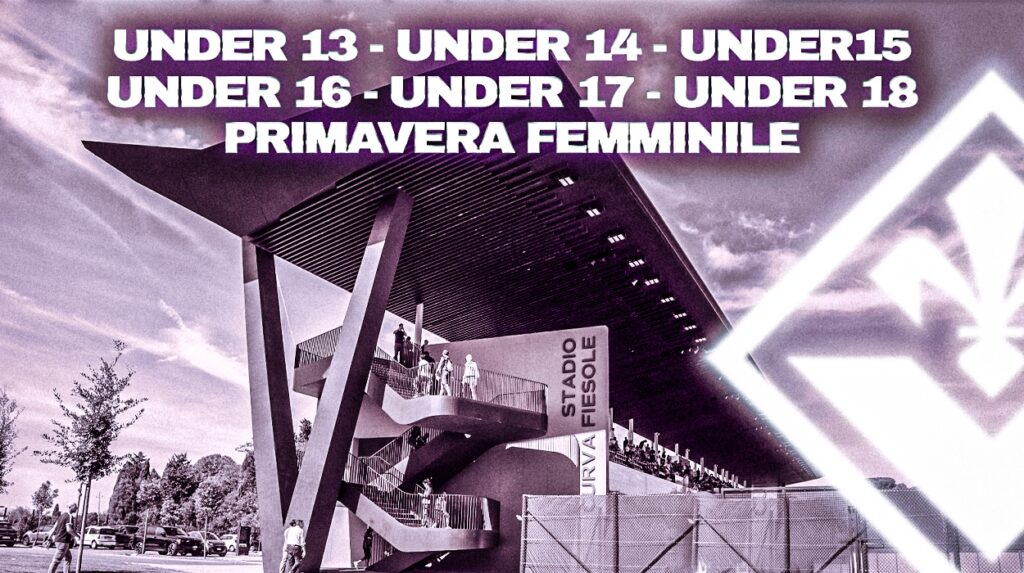 Stadio Curva Fiesole Viola Park