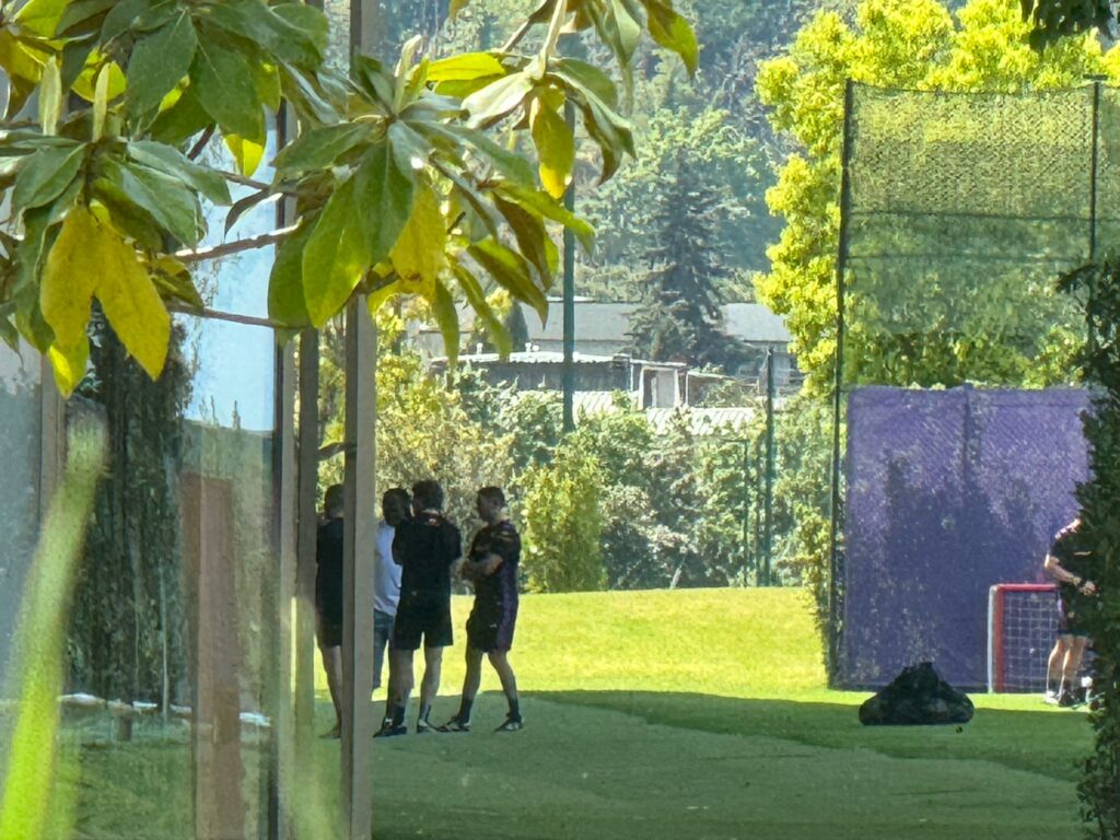 Kean viola park