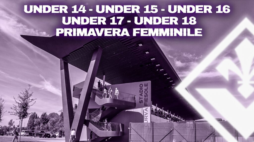Grafica giovanili viola park tutte tranne under 13