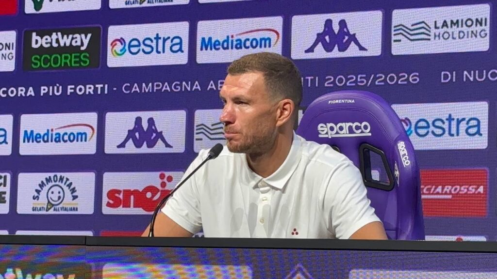 Dzeko