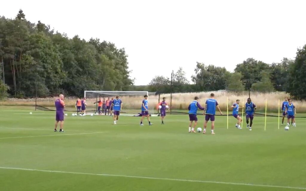 Fiorentina allenamento