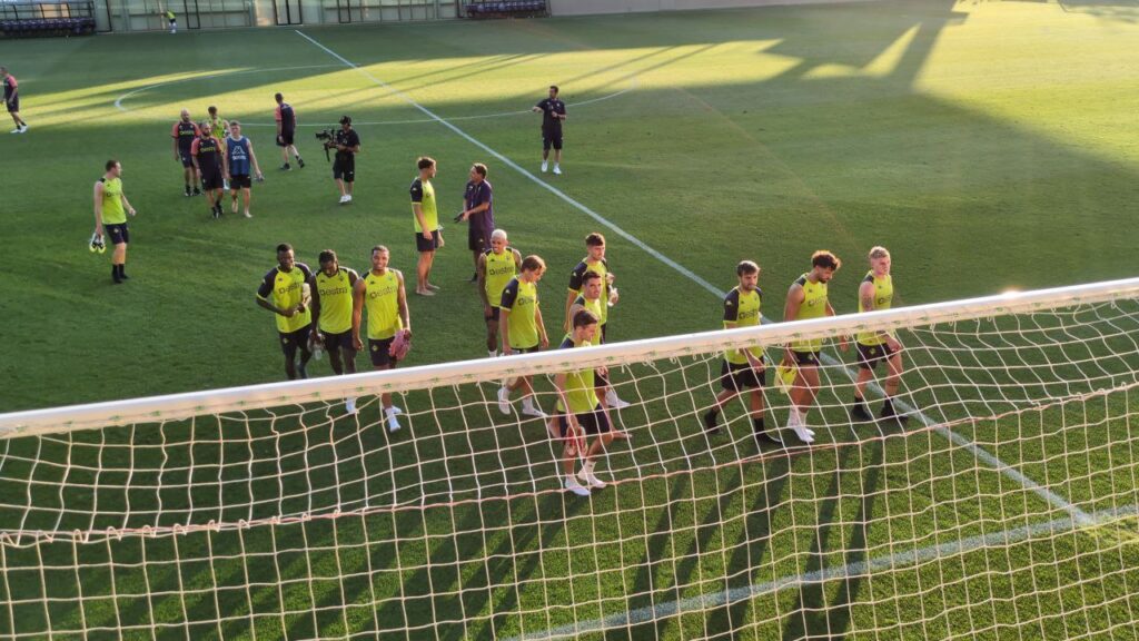 squadra viola park