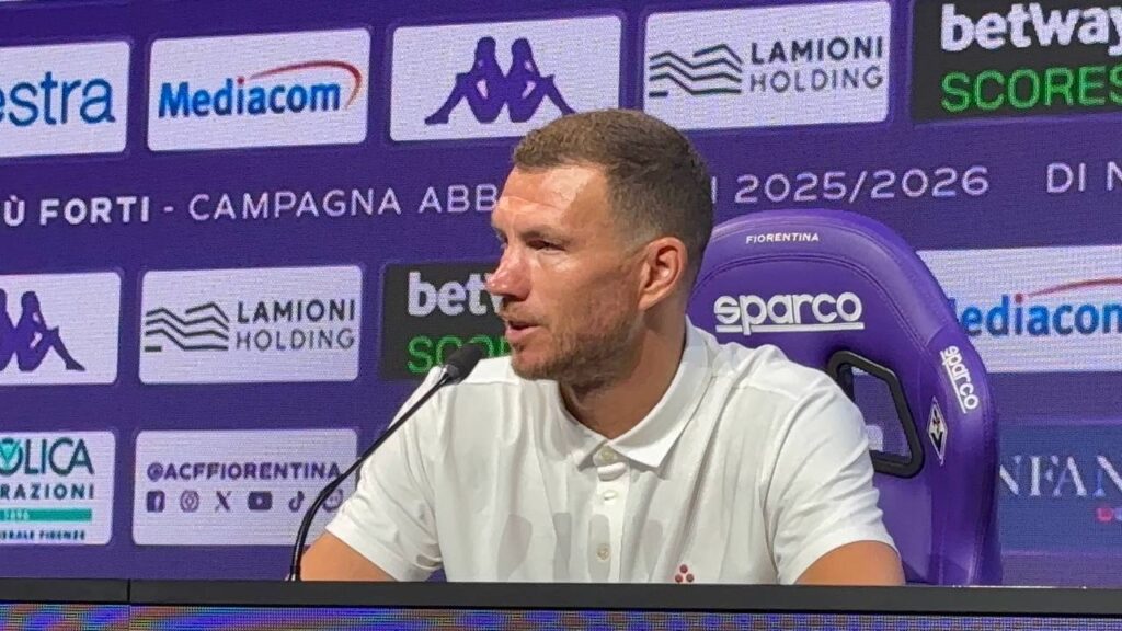 Dzeko