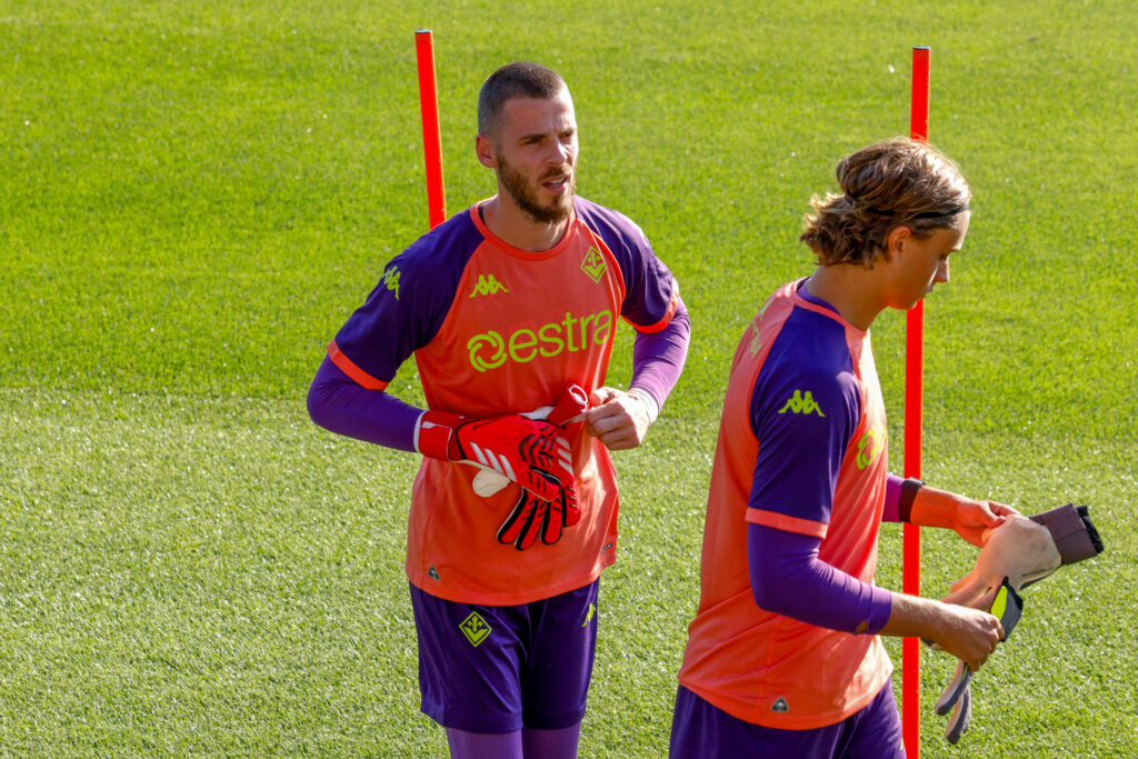 dE gEA