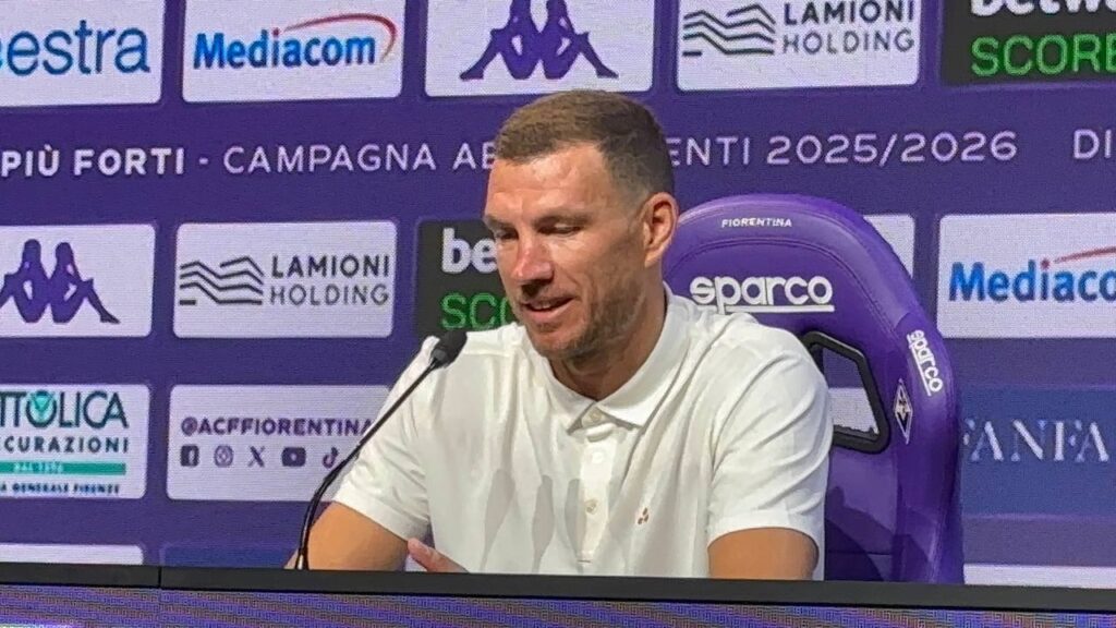 Dzeko