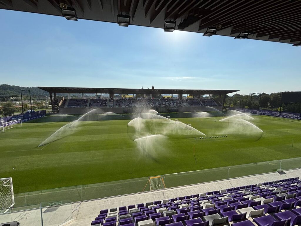 Viola Park