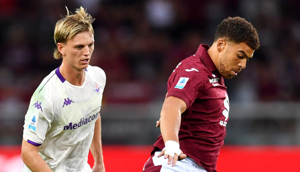 Torino FC v ACF Fiorentina - Serie A