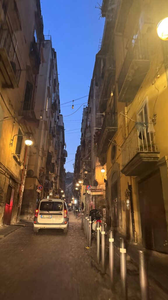 Pongracic Napoli