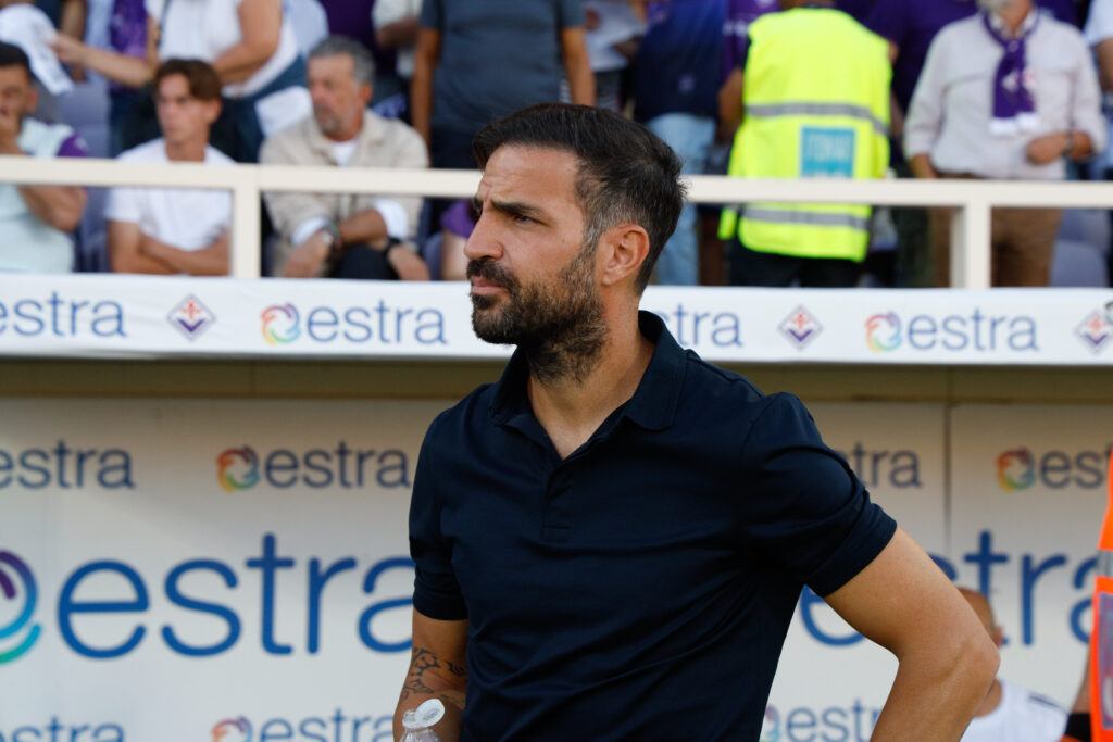 cesc fabregas