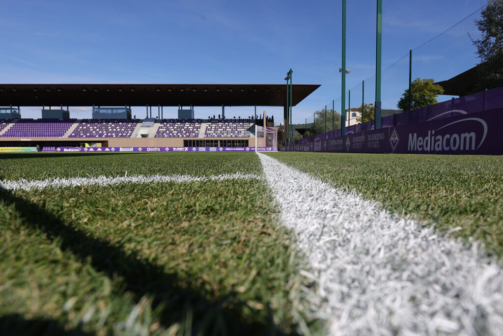 Viola Park