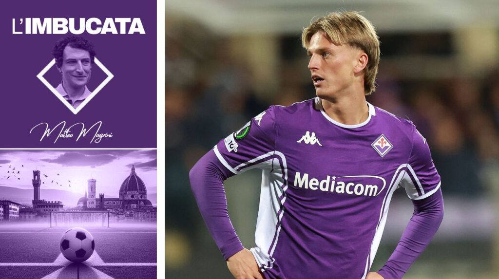 Gudmundsson imbucata magrini