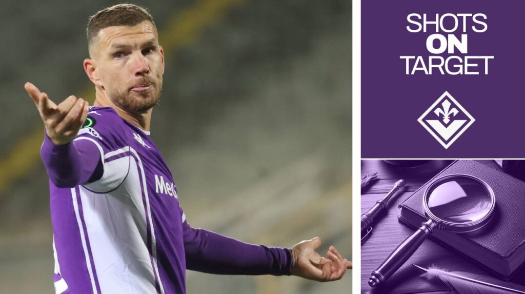 Dzeko shots